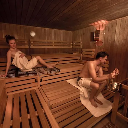 App 365 Panoramic Hohegeiss Mit Wlan