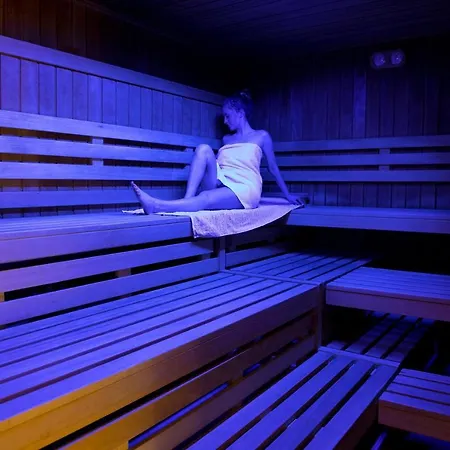 App 365 Panoramic Hohegeiss Mit Wlan דירה